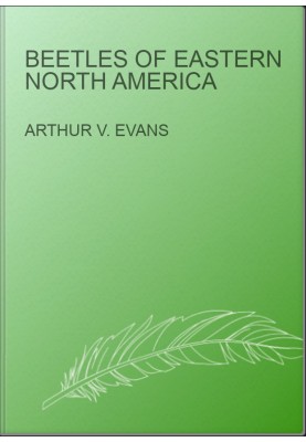 Beetles of Eastern North America