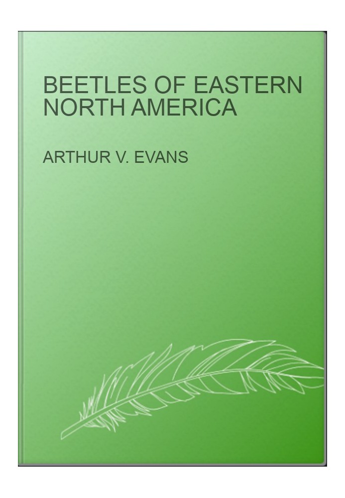 Beetles of Eastern North America