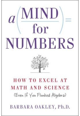 A Mind For Numbers