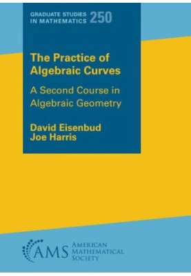 The Practice of Algebraic Curves: A Second Course in Algebraic Geometry