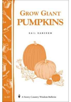 Grow Giant Pumpkins
