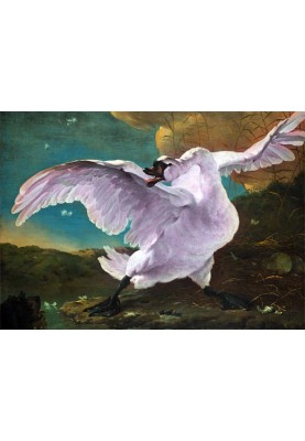 Purple swans