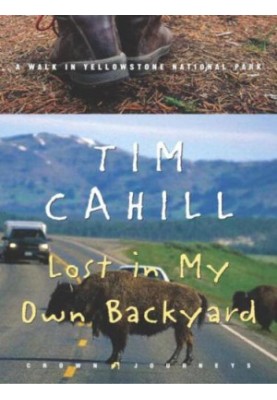 Lost in My Own Backyard: A Walk in Yellowstone National Park