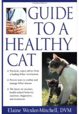 Guide to a Healthy Cat