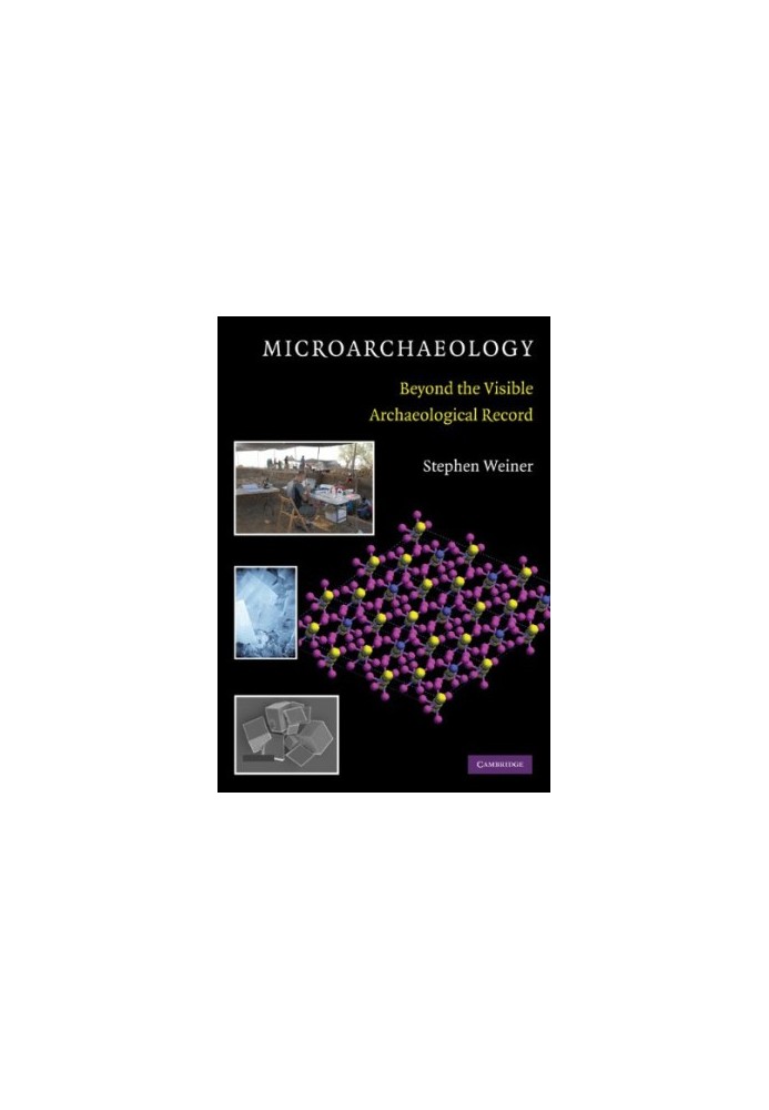 Microarchaeology: Beyond the Visible Archaeological Record