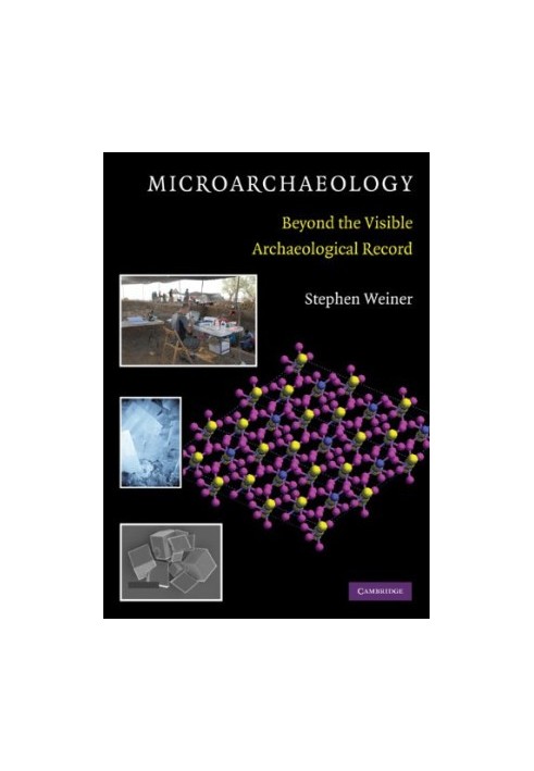 Microarchaeology: Beyond the Visible Archaeological Record