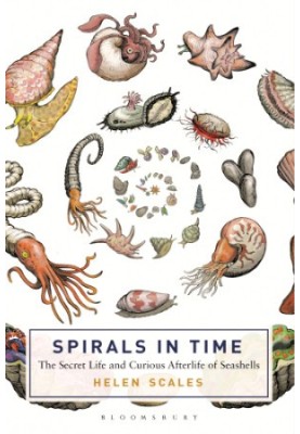 Spirals in Time The Secret Life and Curious Afterlife of Seashells