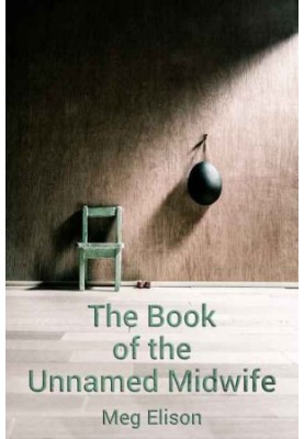 The Book of the Unnamed Midwife