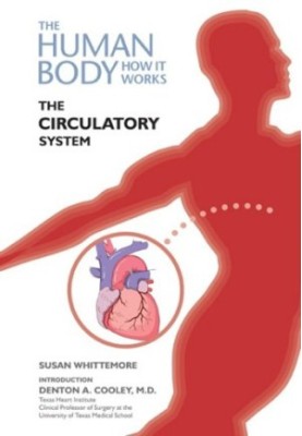The circulatory system