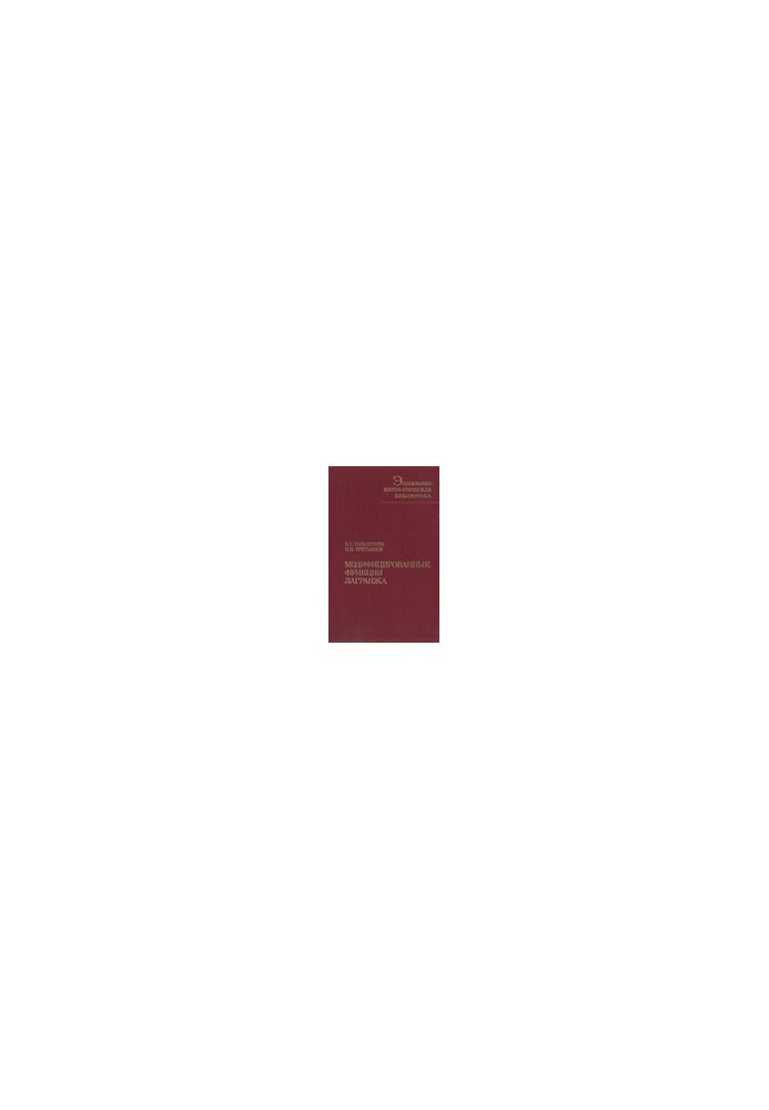 Модифицированные функции Лагранжа. Теория и методы оптимизации