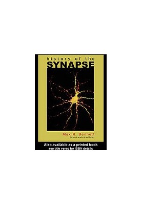 History of the synapse