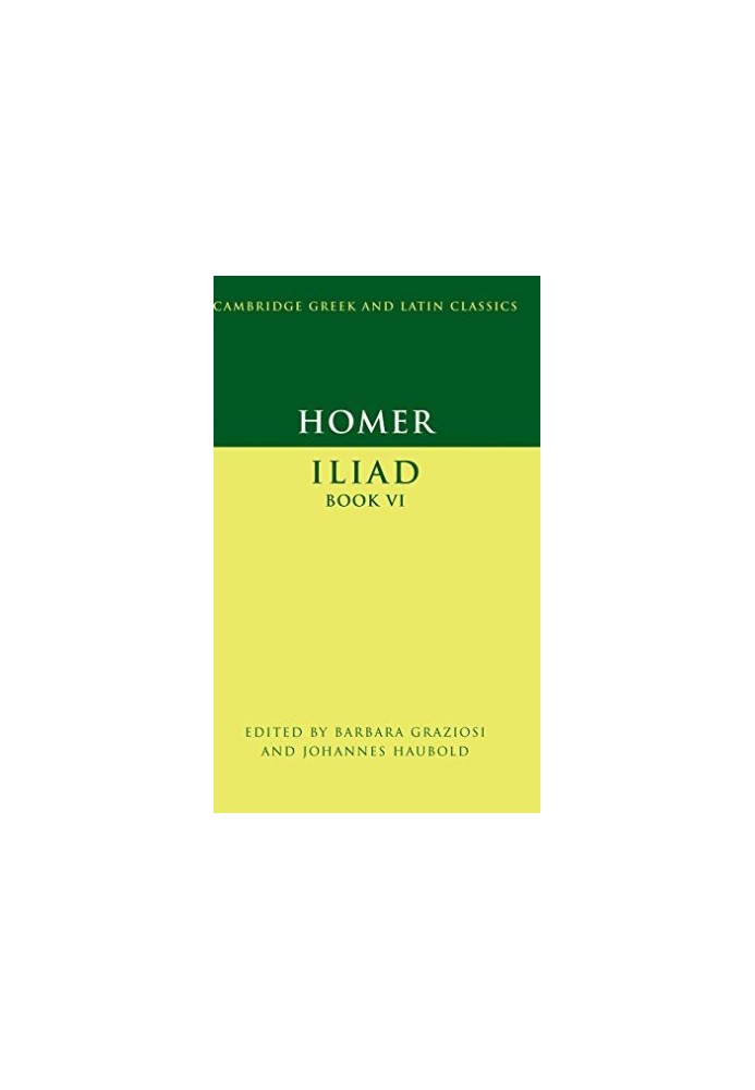 Iliad Book VI