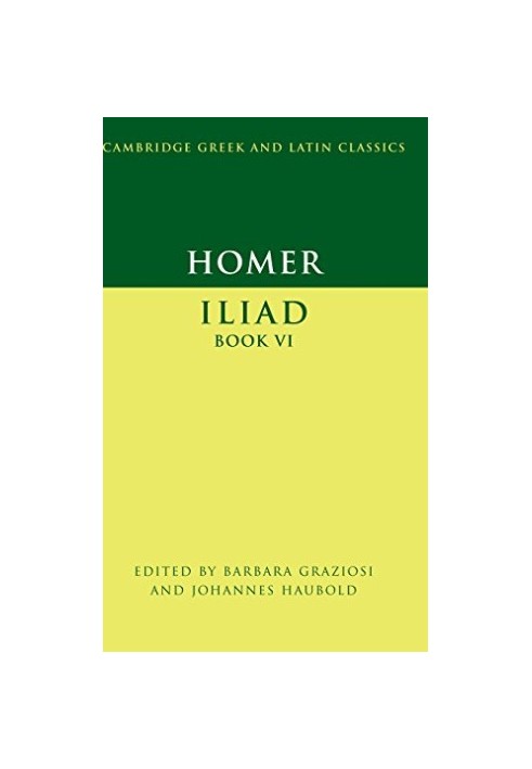 Iliad Book VI