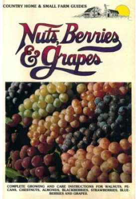 Nuts, berries & grapes