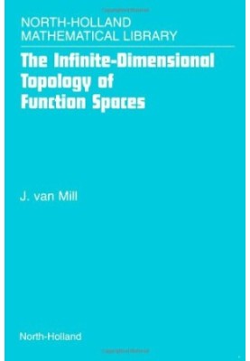 The Infinite-Dimensional Topology of Function Spaces