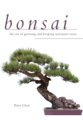 Bonsai: The art of growing and keeping miniature trees