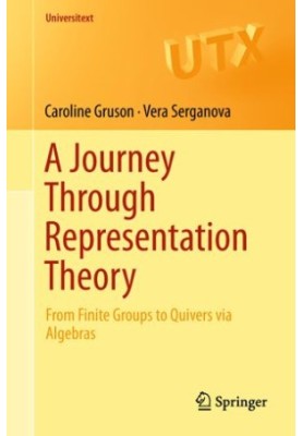 A Journey Through Representation Theory: From Finite Groups to Quivers via Algebras
