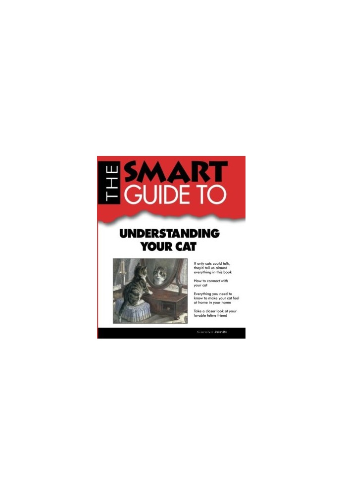 The Smart Guide to Understanding Your Cat