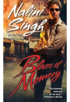 Blaze of Memory