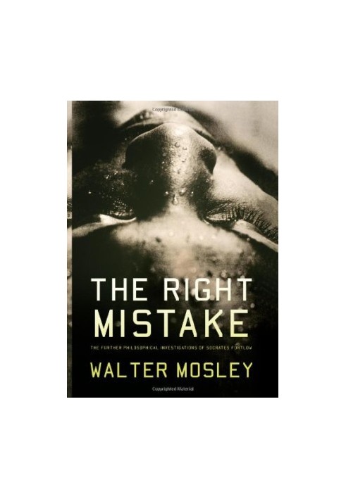 The Right Mistake: The Further Philosophical Investigations of Socrates Fortlow
