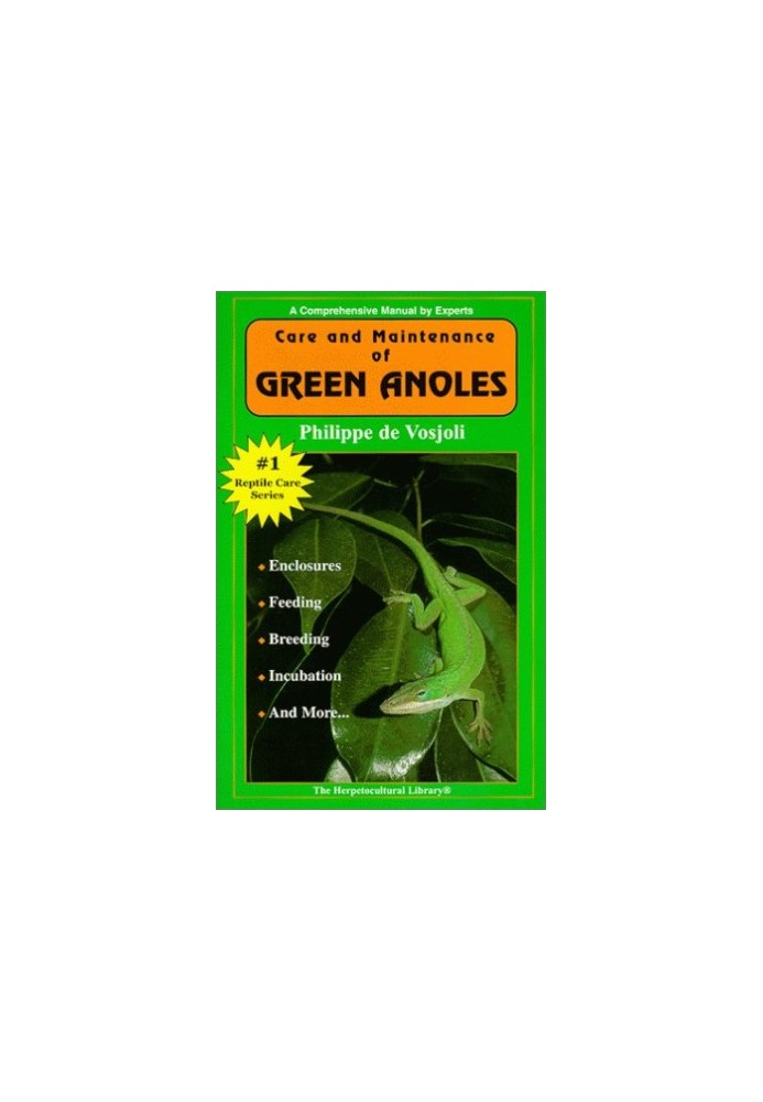 The General Care and Maintenance of Green Anoles (General Care and Maintenance of Series)