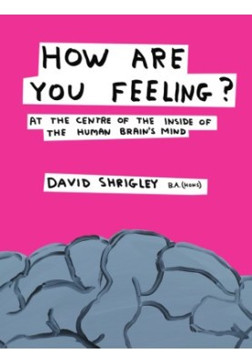 How Are You Feeling?: At the Centre of the Inside of The Human Brain’s Mind