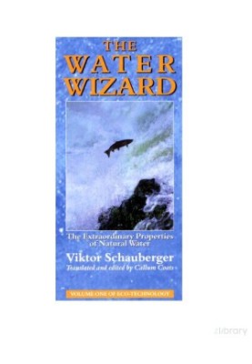 The Water Wizard - The Extraordinary Properties of Natural Water