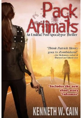 City of Fire (Lena Gamble Novels)
