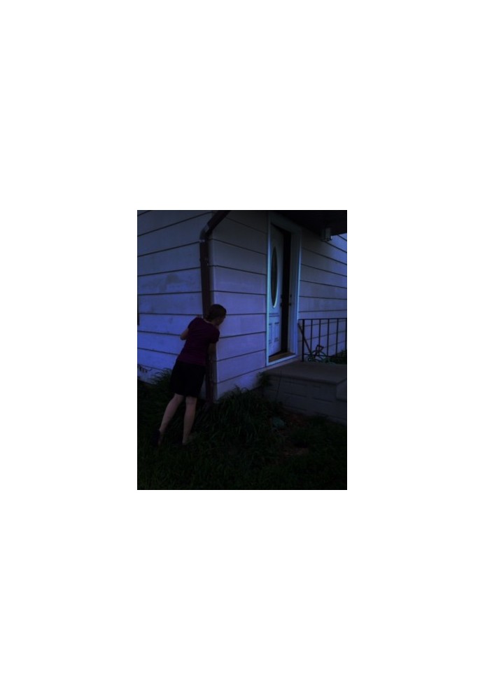 The Mysterious Intruder