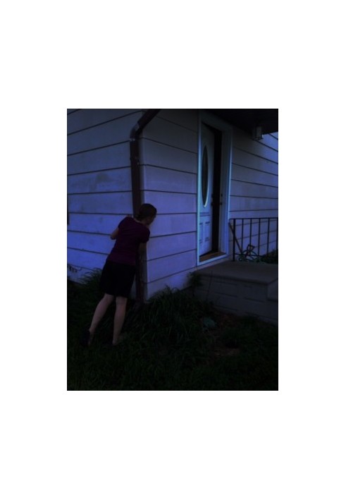 The Mysterious Intruder