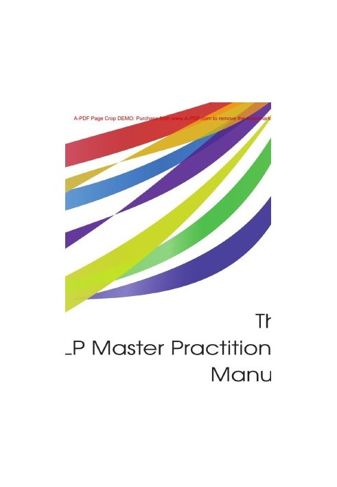 The NLP Master Practitioner Manual