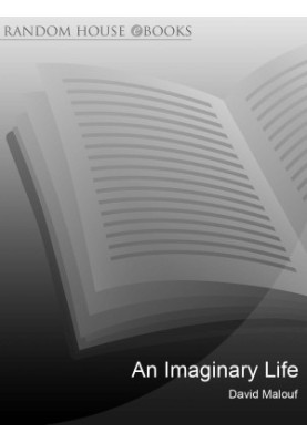 An Imaginary Life