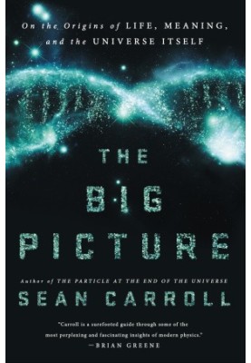 The Big Picture: On the Origins of Life, Meaning, and the Universe Itself