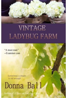 [Ladybug Farm 05] • Vintage Ladybug Farm