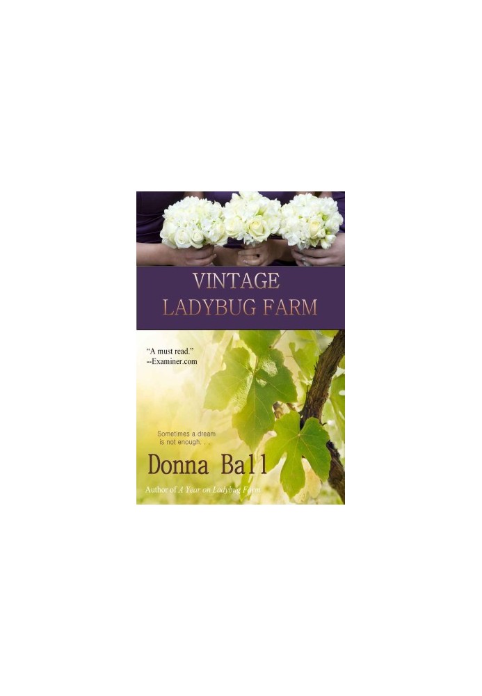 [Ladybug Farm 05] • Vintage Ladybug Farm