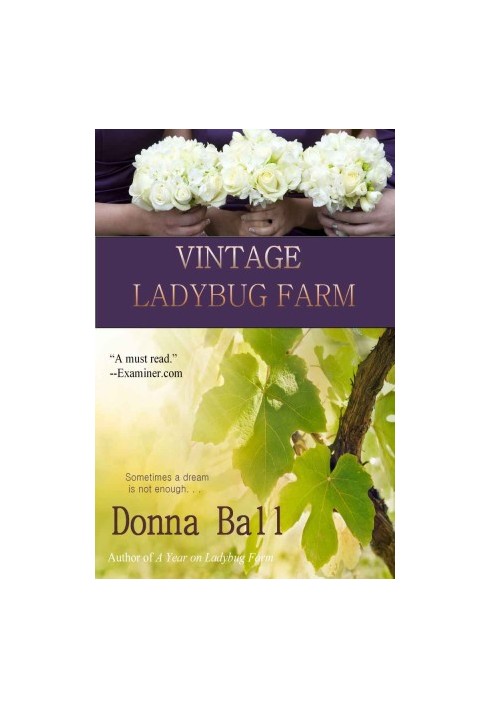 [Ladybug Farm 05] • Vintage Ladybug Farm