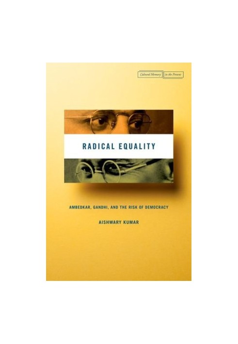 Radical Equality : Ambedkar, Gandhi, and the Risk of Democracy