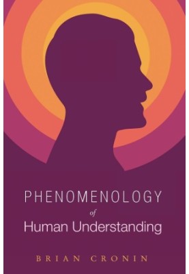 Phenomenology of Human Understanding