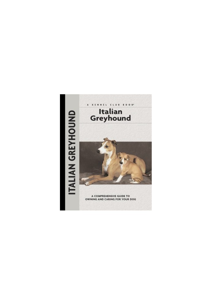 Italian Greyhound
