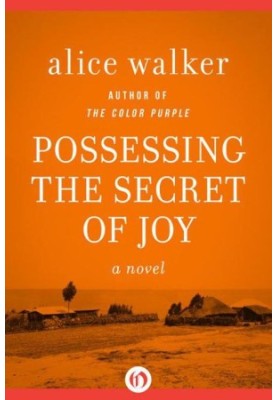 Possessing the Secret of Joy