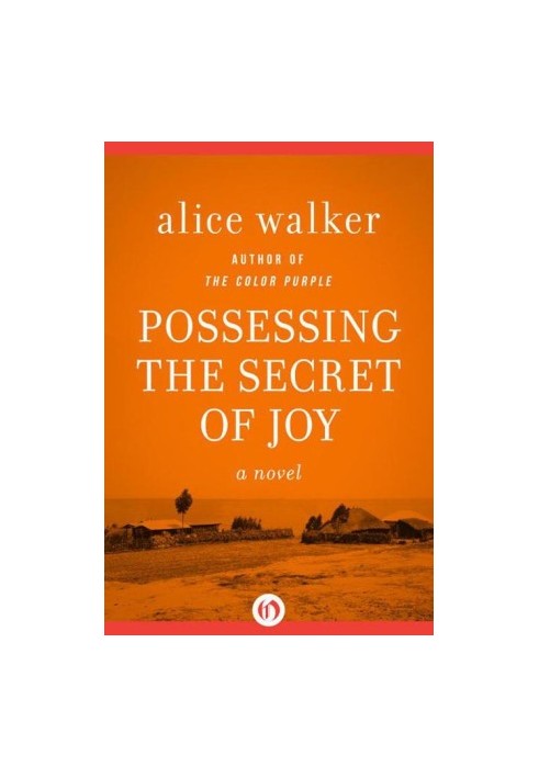 Possessing the Secret of Joy