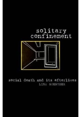 Solitary confinement : social death and its afterlives