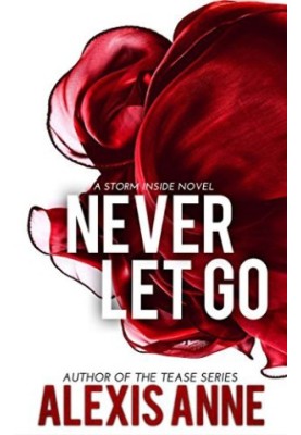 [The Storm Inside 04] • Never Let Go