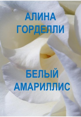 White amaryllis