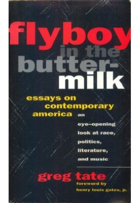 Flyboy in the Buttermilk: Essays on Contemporary America