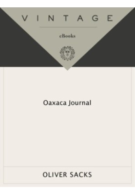 Oaxaca Journal