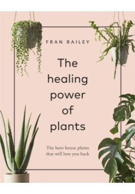 The healing power of plants: the hero house plants that love you back