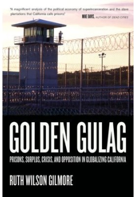 Golden Gulag: Prisons, Surplus, Crisis, and Opposition in Globalizing California