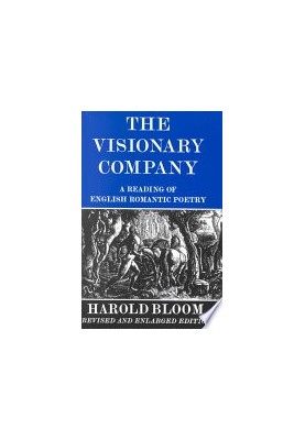 The Visionary Company