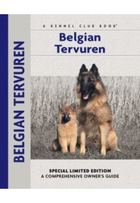 Belgian Tervuren